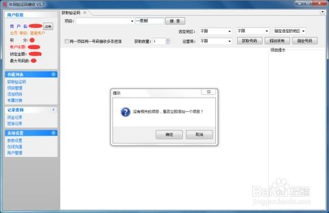国内外接码平台更新在线,国外接码平台付费