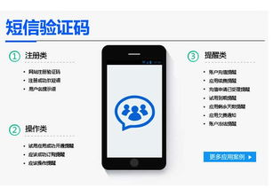 短信验证码平台app,短信验证码平台APP 安卓