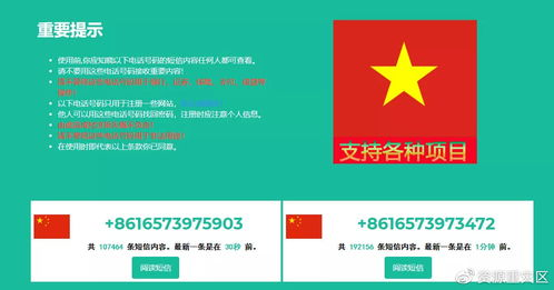 接码平台有什么作用,接码平台是干什么