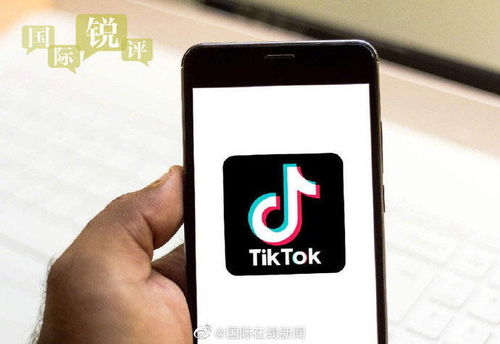 tiktok接单,tiktok接单平台
