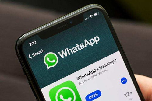 whatsapp接码注册平台,whatsapp验证码一直在连接中