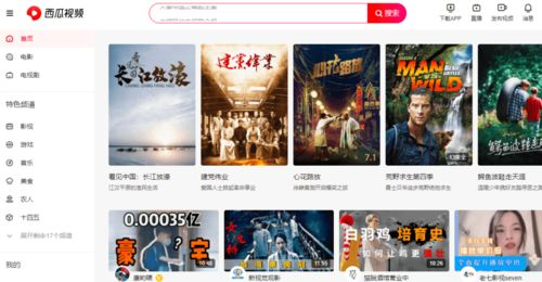 whatsapp接码平台,whatsapp connecting