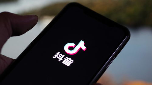 抖音接码平台是什么,接码平台注册抖音可以吗