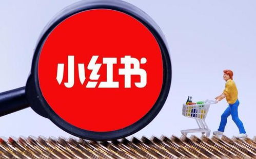 小红书批发网24h自助发卡,小红书买号