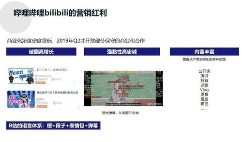 小红书接码短信验证码平台,国际短信验证码平台