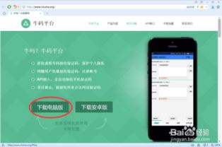 美国手机接码平台,美国手机接码平台是什么