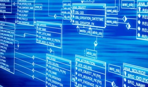 美国接码怎么用,美国接码号怎么来的