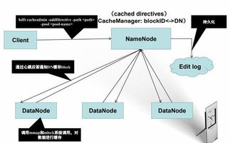 英国接码免费,国际接码软件
