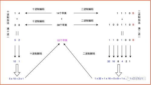 注册接码软件app,注册接码软件