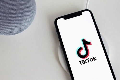 tiktok测评流量,tiktok流量算法