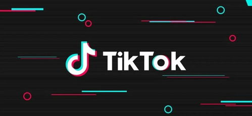 TikTok平台与测评网站的必要性解析