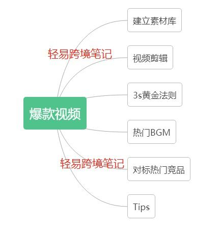 tiktok快速涨粉,tiktok怎么引粉