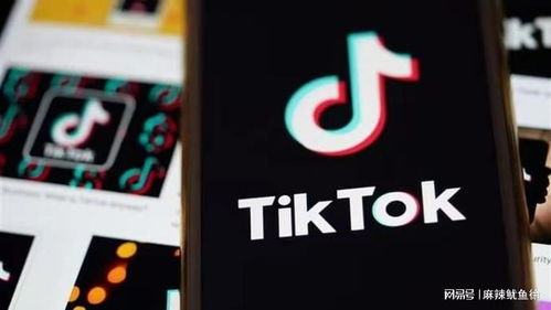 tiktok入驻要多少钱,tiktok小店招商