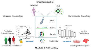 美客多入驻人脸识别不了,美客多注册完要激活吗