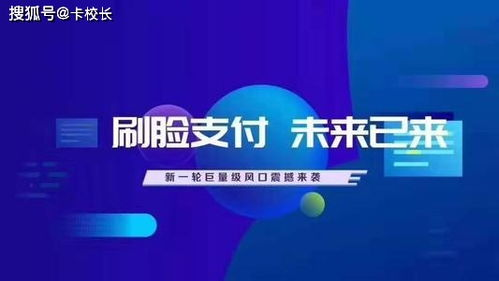 连连支付登录,连连支付平台