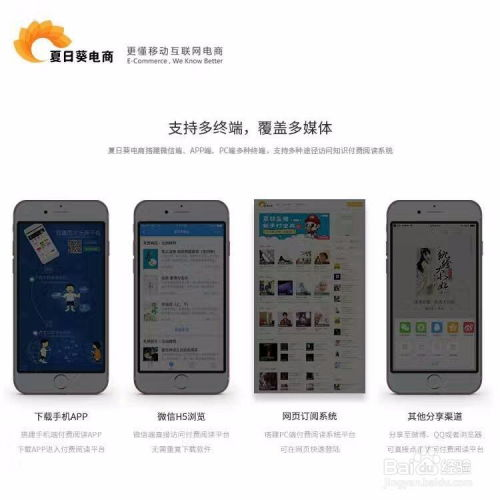 珊瑚收款官网,珊瑚网站