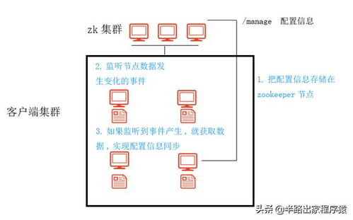 理解珊瑚提款的本质与应用场景