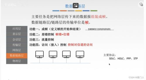 珊瑚收款是什么意思,收藏珊瑚