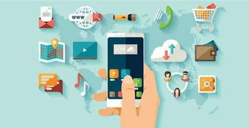 拉美跨境电商美客多,美客多本土店和跨境店