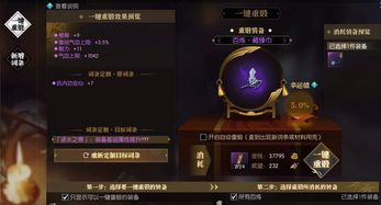 新服定位策略与玩家画像分析