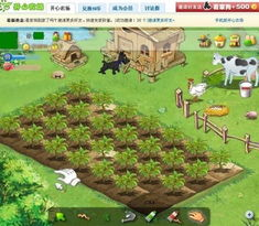 玩家社区生态:从游戏到社交的延伸