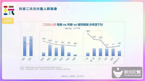 用户画像：Z世代与下沉市场的双重需求