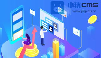 二、平台搭建:选择开源还是定制开发?