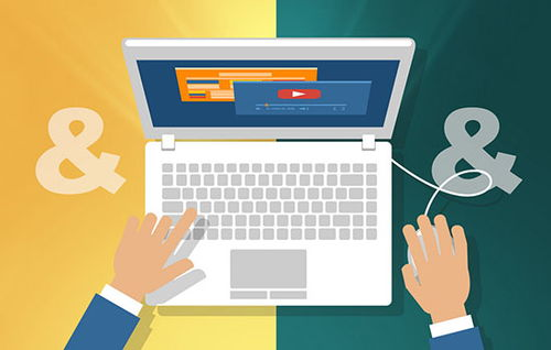 主流发布网站类型