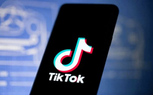 tiktok pte.ltd,TikTok Pte.Ltd.