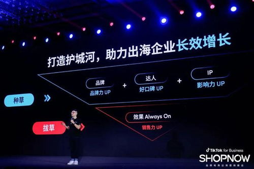 tiktok business center,tiktokbusinesscenter