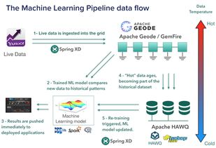 TikTok公司，全球社交媒体平台的崛起与战略布局