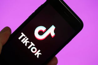 tik tok 在印度dau,印度tiktok用户数