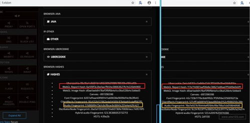 adspower指纹浏览器,AdsPower指纹浏览器和候鸟浏览器哪个好