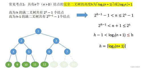 珊瑚礁资金转移的定义与背景