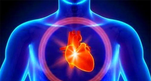 虾皮冻结店铺还会解冻吗,虾皮店铺被冻结了钱会拿出来吗