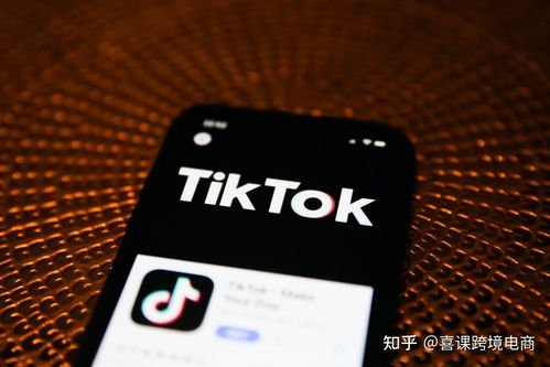 tiktok多久后可以看到收益,tiktok多久能提现