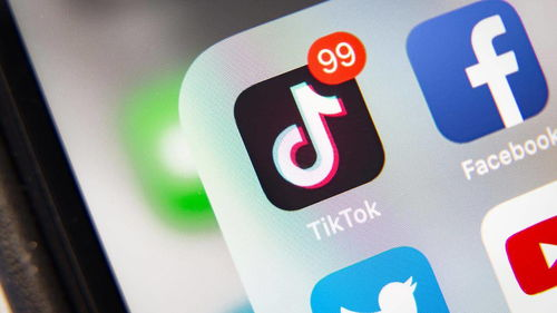 tiktok 卖货,tiktok卖货需要自己准备货物吗