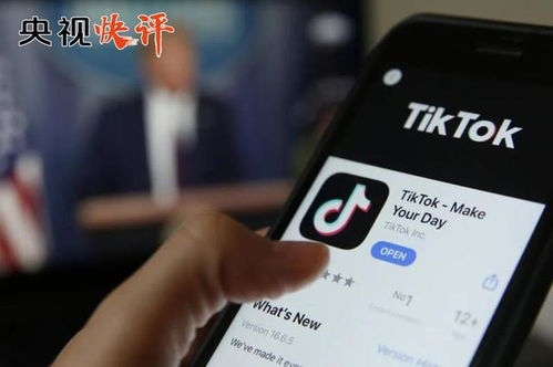 tiktok橱窗号批发购买,橱窗账号