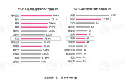 在tiktok可以挂的跨境电商平台有哪些,tiktok可以挂自建商城网址吗