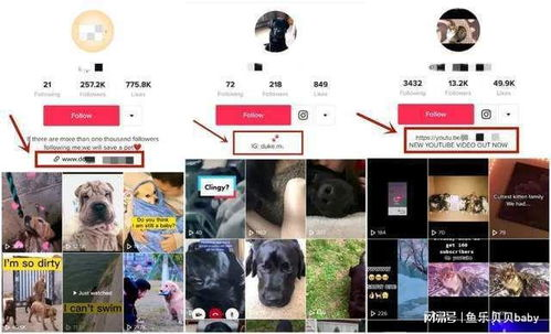 tiktok如何开通商品橱窗,tiktok可以挂橱窗了吗