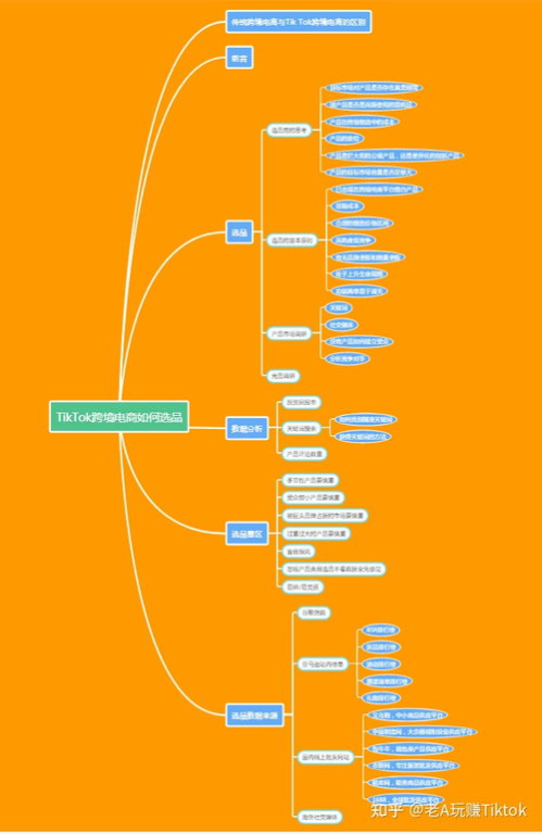 tiktok爆款产品,tiktok爆火产品
