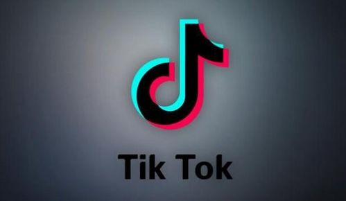 tiktok上什么产品受欢迎,tiktok有什么