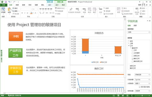 推荐软件二:Microsoft Project