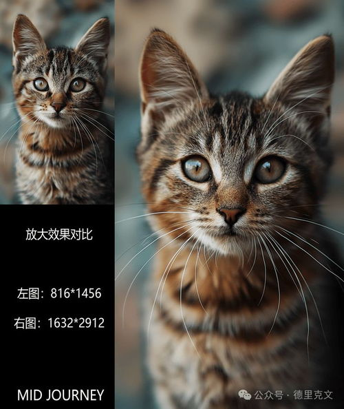 ai视频生成软件哪个好用,有没有免费的ai视频生成工具