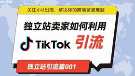 tiktok带货怎么样,tiktok直播带货好做吗