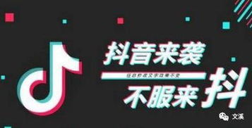 tiktok广告推广,TikTok广告推广选取纳税地区