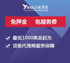 谷歌广告户充值,谷歌广告费如何收取