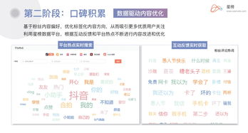 候鸟收款平台：跨境电商卖家必备的防关联安全收单神器