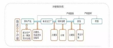 外贸物流,外贸物流公司有哪些