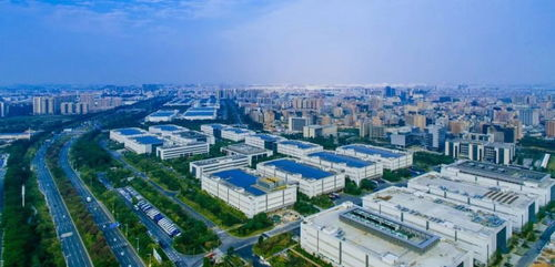 三角洲科技有限公司的崛起之路